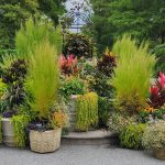 Annuals Arrangements Annuals Arrangements