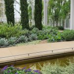 New West Conservatory New West Conservatory