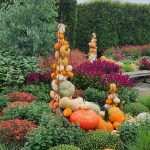 Pumpkins Tuteurs and Mums Pumpkins Tuteurs and Mums