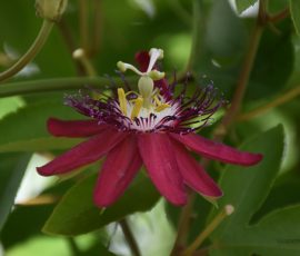 Elizabeth Brannin 10 October 2025 Elizabeth Brannin 10 October 2025