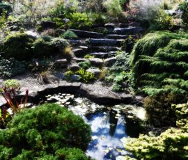 Elizabeth Brannin 10 October 2025 Elizabeth Brannin 10 October 2025