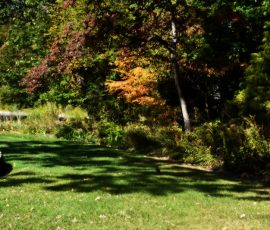 Elizabeth Brannin 10 October 2025 Elizabeth Brannin 10 October 2025