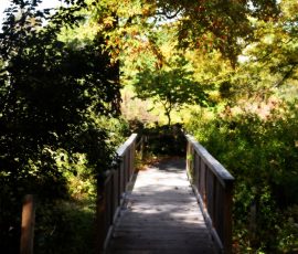 Elizabeth Brannin 10 October 2025 Elizabeth Brannin 10 October 2025