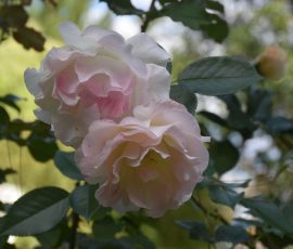 Elizabeth Brannin 10 October 2025 Elizabeth Brannin 10 October 2025