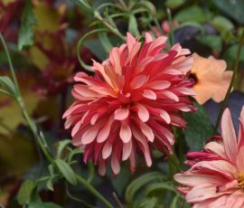 Elizabeth Brannin 10 October 2025 Elizabeth Brannin 10 October 2025