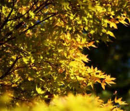 Elizabeth Brannin 10 October 2025 Elizabeth Brannin 10 October 2025