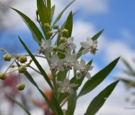 Elizabeth Brannin 10 October 2025 Elizabeth Brannin 10 October 2025