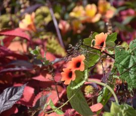 Elizabeth Brannin 10 October 2025 Elizabeth Brannin 10 October 2025