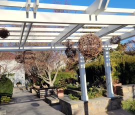 Grapevine Globes on Arbor