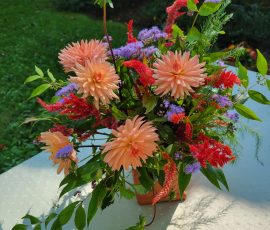 M. Hulstrunk arrangement