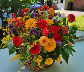 M. Hulstrunk arrangement