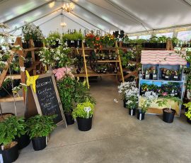 2025 Plant Sale Plant Sale Entry Display