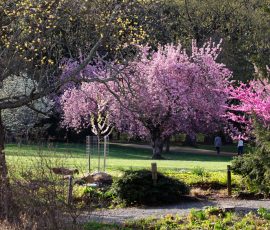 Steve Kanan April 2026 Steve Kanan April 2026