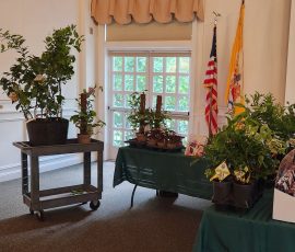 260712 Plant & Seed Sale Table ii