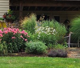 A Pennsylvania Garden, by Margery Ennist A Pennsylvania Garden, by Margery Ennist