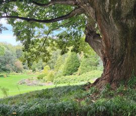Chanticleer Hillside