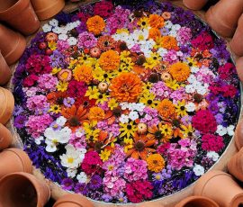 Floating Flower Arrangement