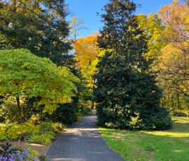 Path by the Mansion
